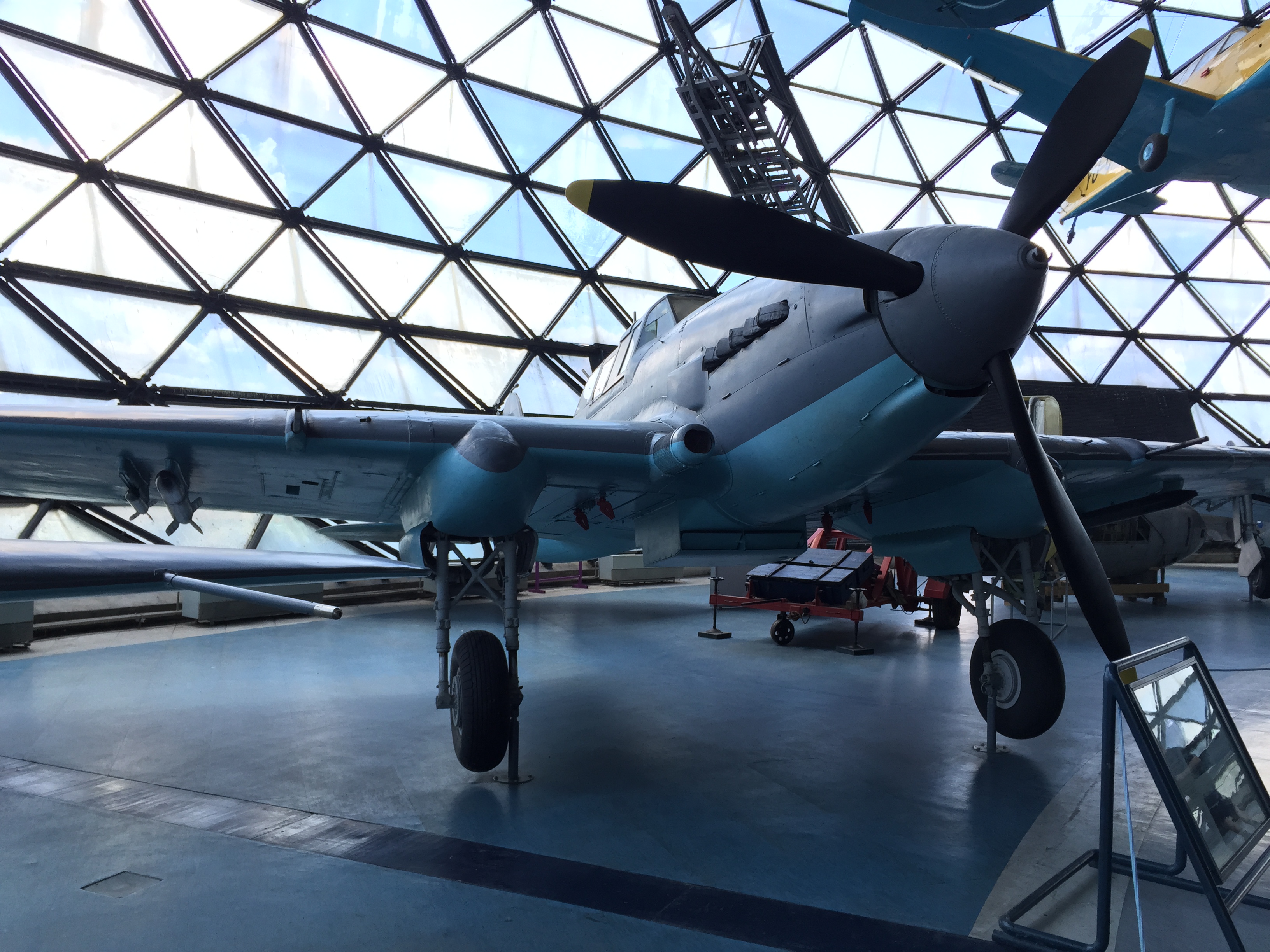 IMG_7230.jpeg