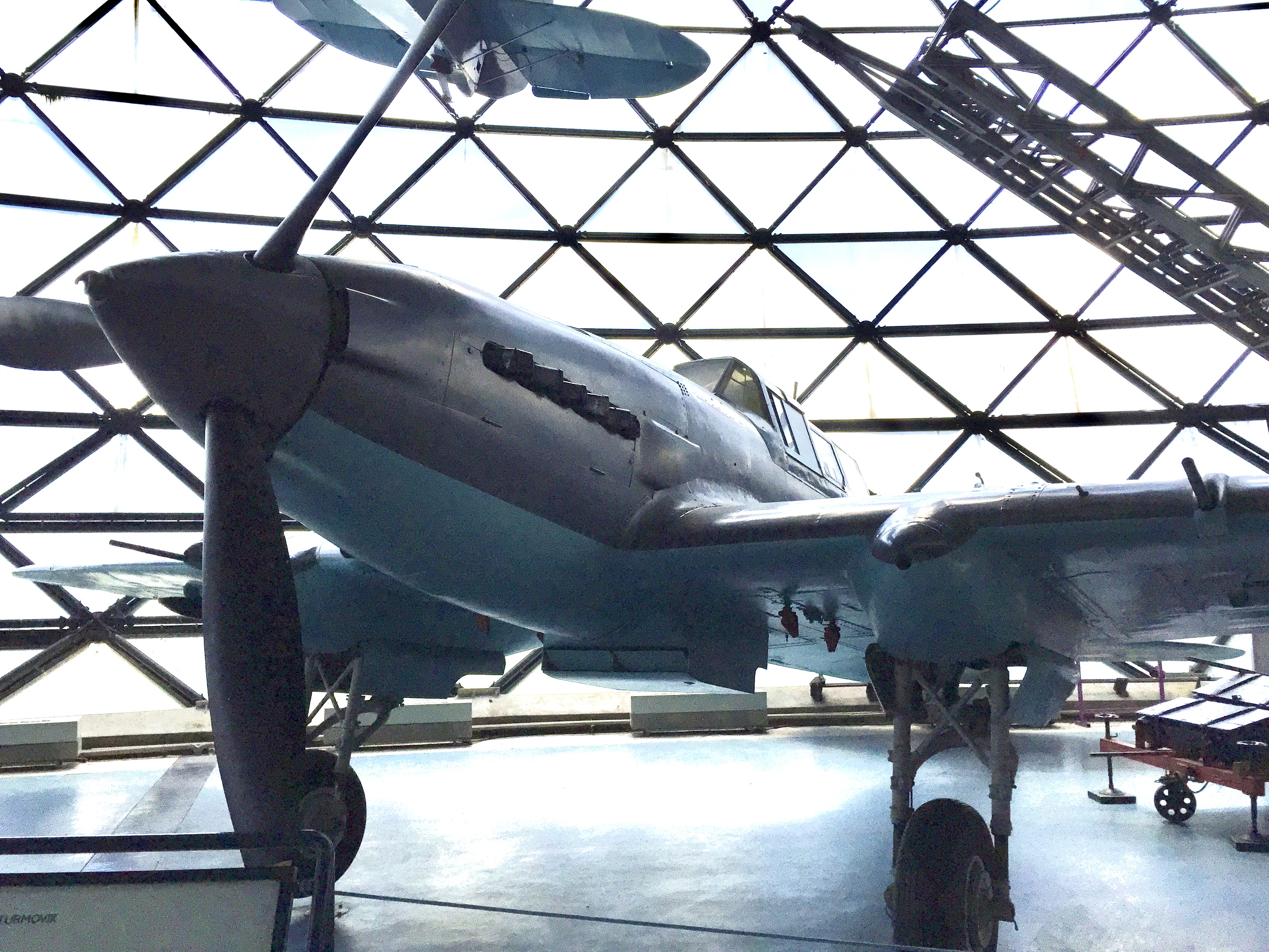 IMG_7224.jpeg