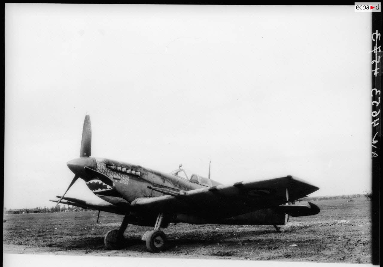 8463765_2_1.jpg