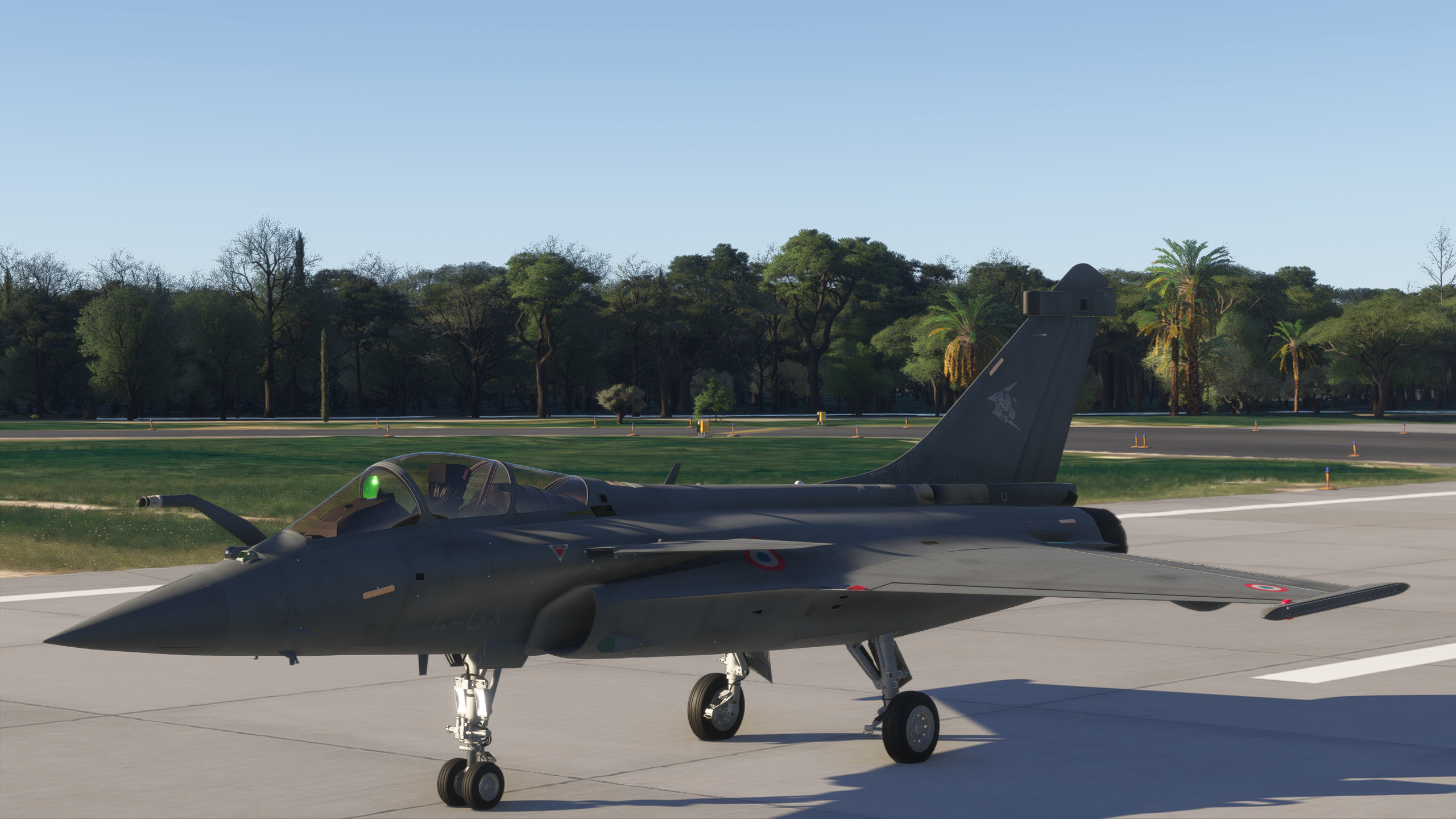 Microsoft Flight Simulator 2024 Screenshot 2024.12.12 - 13.58.48.97.png